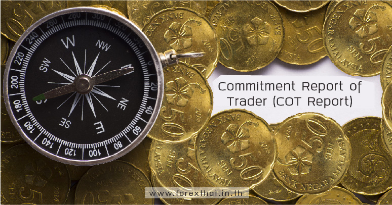 Commitment Report of Trader (COT Report)