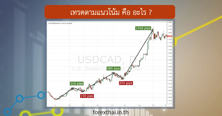 Trend Following คือ อะไร?